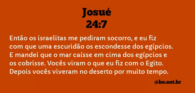 Josué 24:7 NTLH