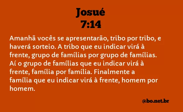 Josué 7:14 NTLH