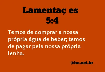 Lamentações 5:4 NTLH