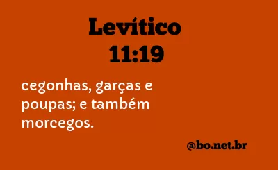Levítico 11:19 NTLH