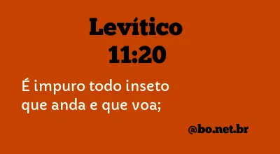 Levítico 11:20 NTLH