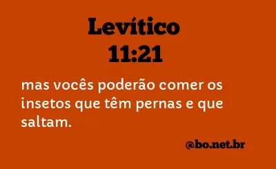 Levítico 11:21 NTLH