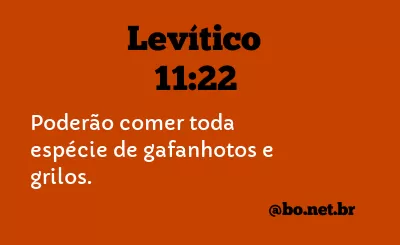 Levítico 11:22 NTLH