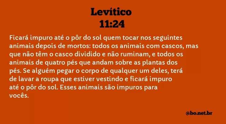 Levítico 11:24 NTLH