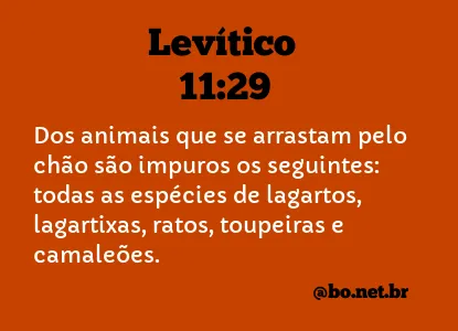 Levítico 11:29 NTLH