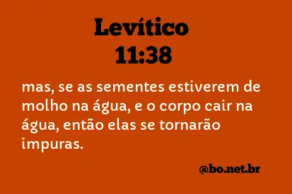 Levítico 11:38 NTLH