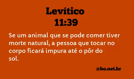 Levítico 11:39 NTLH