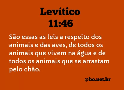 Levítico 11:46 NTLH