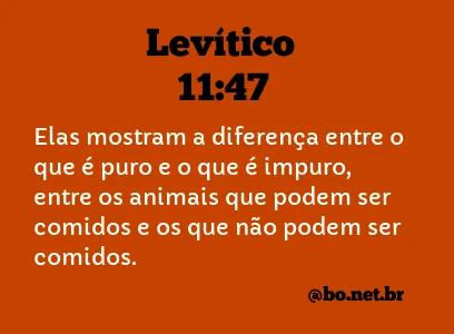 Levítico 11:47 NTLH