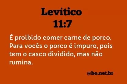 Levítico 11:7 NTLH