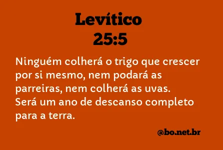 Levítico 25:5 NTLH