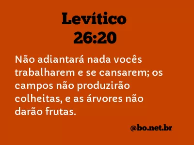 Levítico 26:20 NTLH