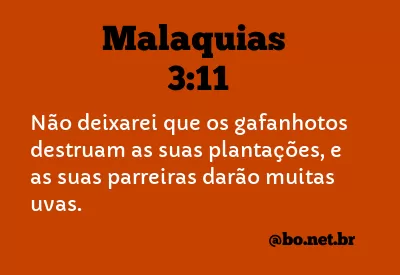 Malaquias 3:11 NTLH
