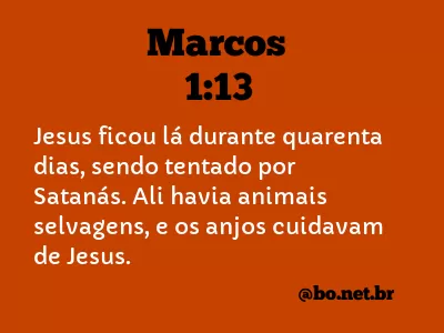 Marcos 1:13 NTLH