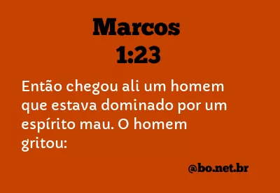 Marcos 1:23 NTLH