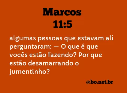 Marcos 11:5 NTLH