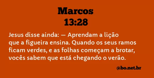Marcos 13:28 NTLH