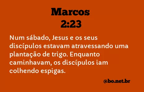 Marcos 2:23 NTLH