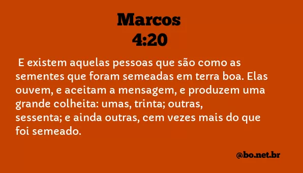 Marcos 4:20 NTLH