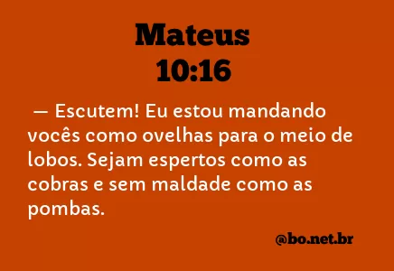 Mateus 10:16 NTLH