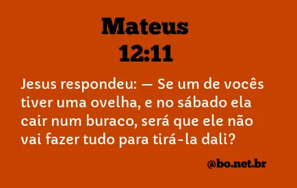 Mateus 12:11 NTLH