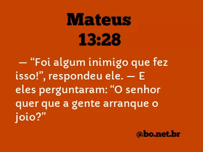 Mateus 13:28 NTLH