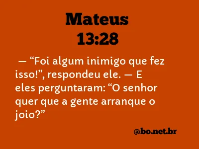 Mateus 13:28 NTLH