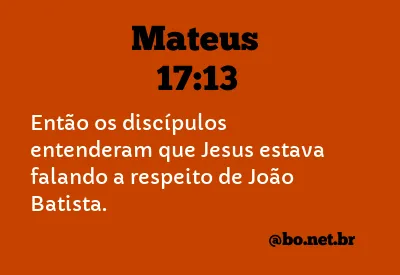 Mateus 17:13 NTLH