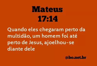 Mateus 17:14 NTLH