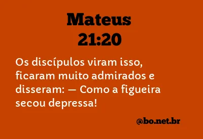 Mateus 21:20 NTLH