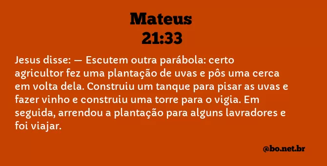 Mateus 21:33 NTLH