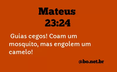 Mateus 23:24 NTLH