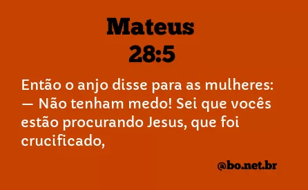 Mateus 28:5 NTLH