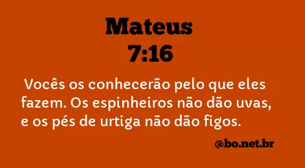 Mateus 7:16 NTLH
