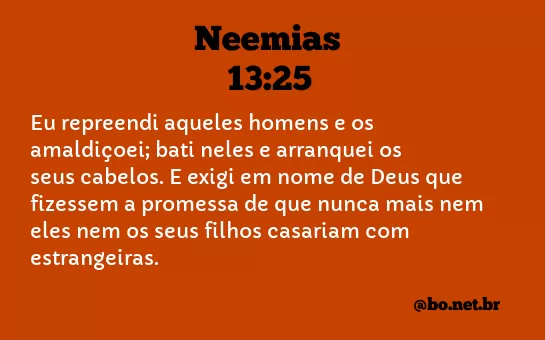 Neemias 13:25 NTLH