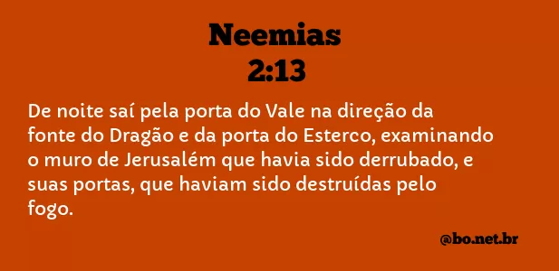 Neemias 2:13 - NVI