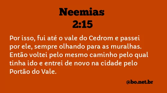 Neemias 2:15 NTLH