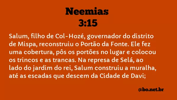 Neemias 3:15 NTLH