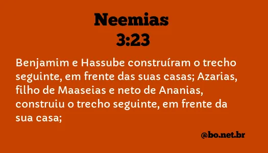 Neemias 3:23 NTLH