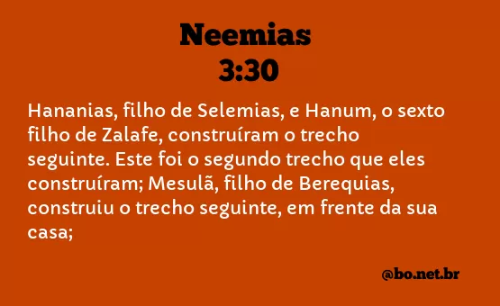 Neemias 3:30 NTLH