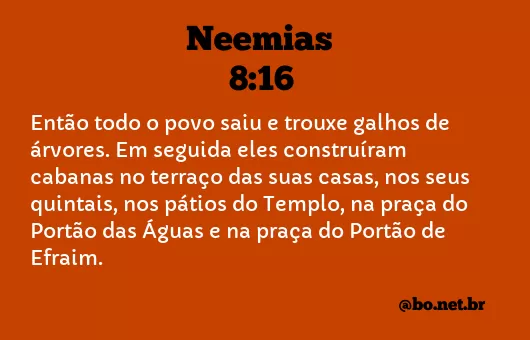 Neemias 8:16 NTLH