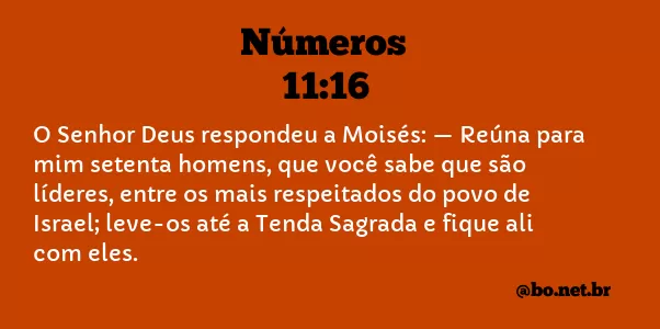 Números 11:16 NTLH