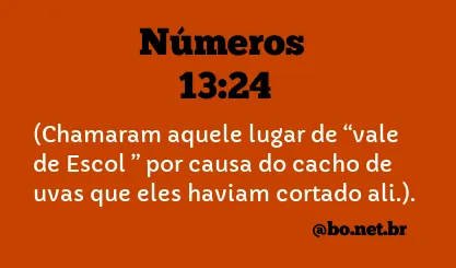 Números 13:24 NTLH