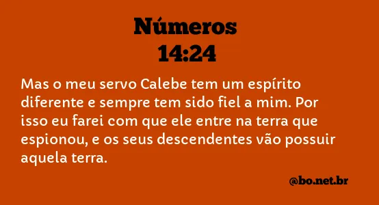 Números 14:24 NTLH