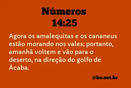 Números 14:25 NTLH