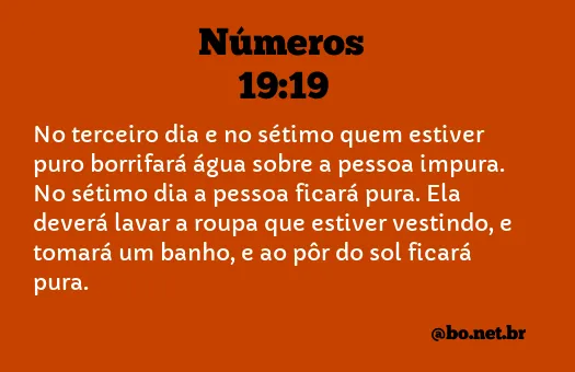 Números 19:19 NTLH