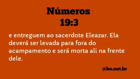 Números 19:3 NTLH