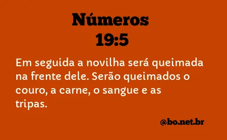 Números 19:5 NTLH