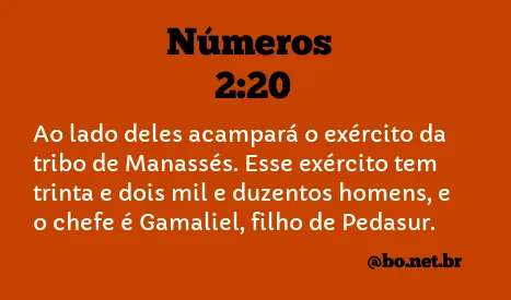 Números 2:20 NTLH