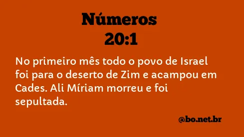 Números 20:1 NTLH